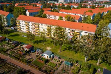 Wohnung zum Mieten in Freiberg 319,00 € 45.96 m²