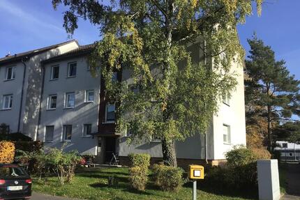 Gut geschnittene 3-Zimmer-Wohnung mit ca. 62 m² Wohnfläche und Balkon - Neustadt (Hessen)