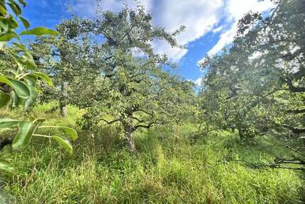 Grundstück zu verkaufen in Stuttgart 11.900,00 € 878 m²