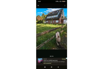 Helle, Katzenfreundliche Wohnung zu vermieten - Greven