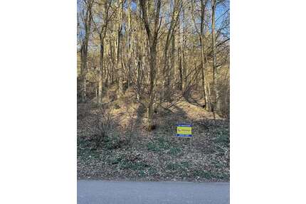 Grundstück zu verkaufen in Bad Bergzabern-Blankenborn 80.000,00 € 1390 m²