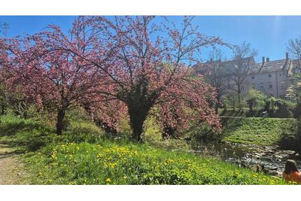Doppelgarage mit zwei Stellplätzen in Freiburg - Schwarzwaldstraße 15, Nahe Schwabentor & Dreisam