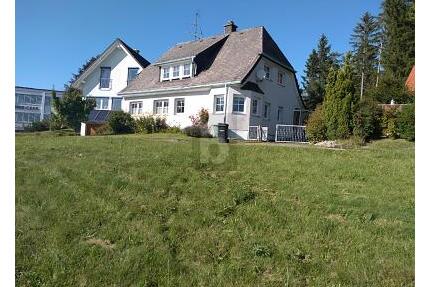 SONNIG MIT HERRLICHER ALPENSICHT - Eisenbach (Hochschwarzwald)