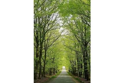 Provisionsfrei - Großzügig Wohnen auf ca. 118 m² mit Balkon, Terrasse & Garten! - Radeberg Ullersdorf