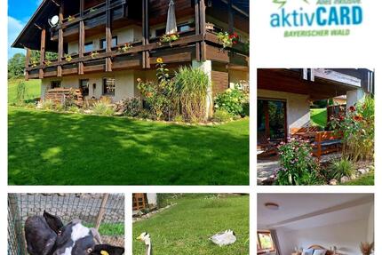 Ferienwohnung Bayern, Arber, Osser sehr ruhige Lage - Lam