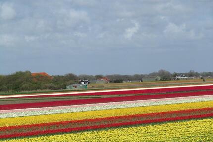 Ferienhaus am Meer, Hund, Sauna,Kamin,Wlan - Wuppertal Gemarkung Ronsdorf