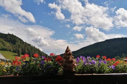 Kurzfristig für zwei Monate - 580,00&nbsp;EUR Kaltmiete, ca.&nbsp; 55,00&nbsp;m&sup2; in Todtnau (PLZ: 79674)