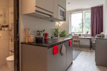 Wohnung zum Mieten in Leipzig 519,00 € 20 m²