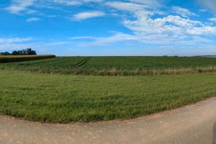4,5 ha Acker landwirtschaftliche Fläche - Reinvestition - Leiblfing