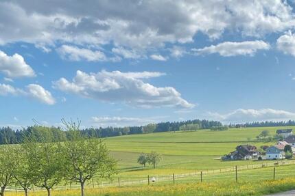 4- Zimmer- Wohnung mit Ausblick - Seewald