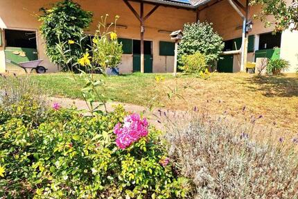 Pferdehof zu verkaufen - 849.000,00&nbsp;EUR Kaufpreis, ca.&nbsp; 350,00&nbsp;m&sup2; in Birkenfeld (PLZ: 55765)
