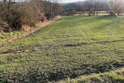 Ackerland in Katzenfurt bei Wetzlar Ortsrandlage - Ehringshausen