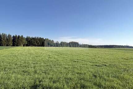 Grundstück zu verkaufen in Otterfing 12.500,00 € 500 m²