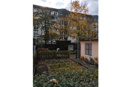 Kleingarten (Pacht) in Dresden 01159 abzugeben