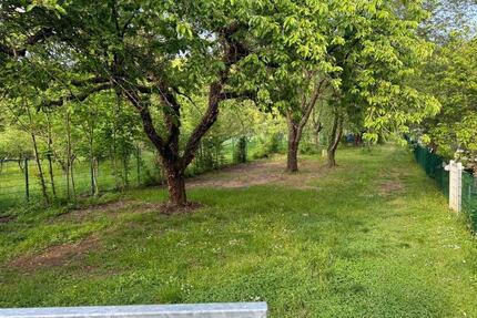 200qm Garten zur Pacht Heidelberg-Handschuhsheim