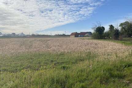 Grundstück zu verkaufen in Söhlde 169.000,00 € 1270 m²