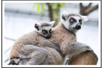 Ihre neue Familienoase mit EBK, Terrasse, Fahrstuhl & Fußbodenheizung! - Berlin Wilhelmsruh