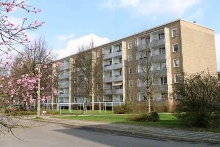 Wohnung zum Mieten in Hoyerswerda 273,00 € 48.62 m²