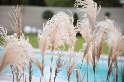 Haus zum Kaufen in Pirna 526.783,00 € 135 m²