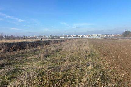 Freizeitgrundstück, Garten, Streuobstwiese in Fellbach - Stuttgart Luginsland