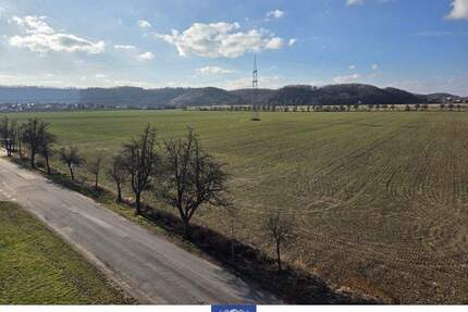Himmlische Dachgeschoss-Wohnung mit Fernblick! Helles Wohnzimmer, gemütliche Loggia! - Coswig