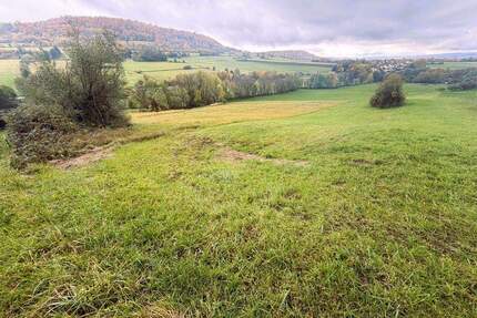 RESERVIERT - kleine WIESE Nähe Weißenburg OT Niederhofen Gänswirtshaus - Weißenburg Oberhochstatt