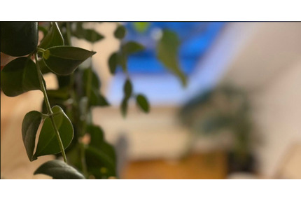 Modernes & ruhiges Studio Apartment in MitteZwischenmiete April - Berlin Pankow