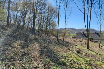 Erschlossenes Baugrundstück mit unverbaubarem Weitblick,Herstelle - Beverungen