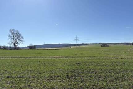 Grundstück zu verkaufen in Hülsede Meinsen 318.800,00 € 1594 m² - Hülsede / Meinsen