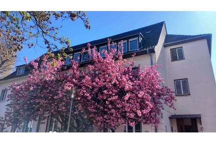 Haus zum Kaufen in Ludwigshafen 1.295.000,00 € 482 m²