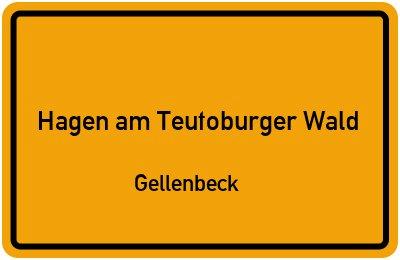 Helle EG Wohnung 75m² Hagen a.T.W. - Gellenbeck - Hagen am Teutoburger Wald