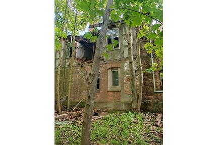 Grundstück 8721m² & Ruine Gutshaus Radepohl 500m² - Plate