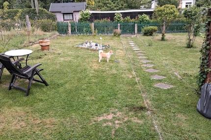 Garten abzugeben - 550,00&nbsp;EUR Kaltmiete, ca.&nbsp; 0,00&nbsp;m&sup2; in Zwickau (PLZ: 08058) Zwickau-Nord