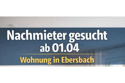 Wohnung zum vermieten - 1.038,00&nbsp;EUR Kaltmiete, ca.&nbsp; 96,00&nbsp;m&sup2; in Göppingen (PLZ: 73033)
