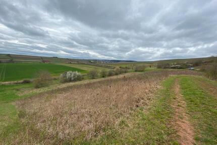 Wiese Grundstück zum vermieten - 50,00&nbsp;EUR Kaltmiete, ca.&nbsp; 0,00&nbsp;m&sup2; in Hargesheim (PLZ: 55595)
