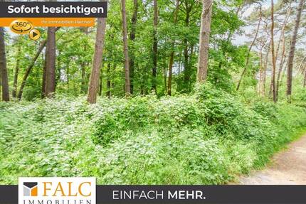 Waldareal in gewachsener Naturkulisse - Brüggen
