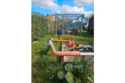 Garten im Geflügelzuchtverein Hildesheim - Harsum