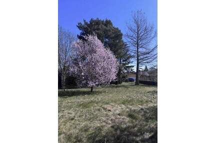 perfekt für Ihr Vorhaben - Baugrundstück und Ihr 