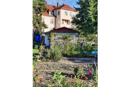 Sehr gepflegter Kleingarten in Dölzschen abzugeben - Dresden Cotta