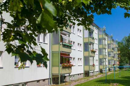 Wohnung zum Mieten in Freiberg 319,00 € 45.96 m²