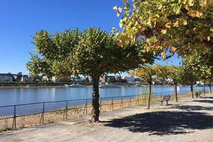 Wohnung zum Kaufen in Bonn-Beuel 218.000,00 € 52 m²