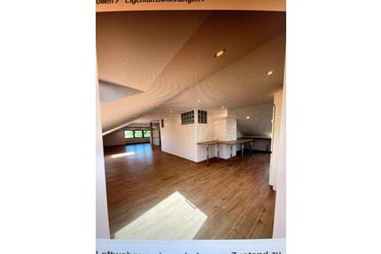 Fam. Haus, 2separ. Eingänge,Garten,Loft renovieret,Stellplatz - Wiesentheid