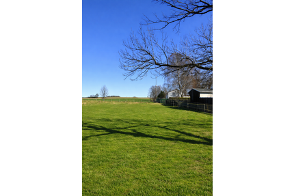 Grundstück zu verkaufen in Chemnitz 105.000,00 € 518 m²