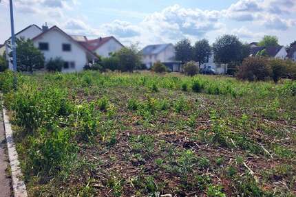 Grundstück zu verkaufen in Gärtringen 427.500,00 € 450 m²