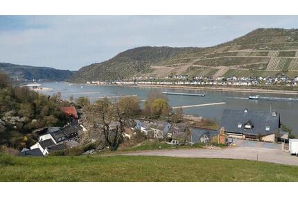 Freizeitgrundstück, Gartengrundstück mit Rheinblick zu verpachten - Weiler bei Bingen