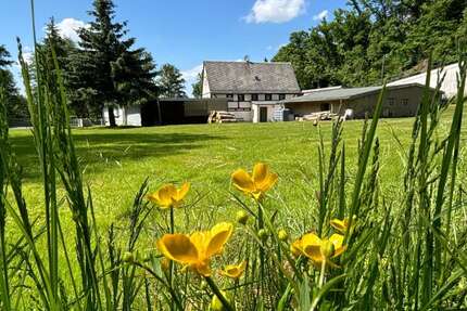 Haus zum Kaufen in Colditz 163.000,00 € 118 m²