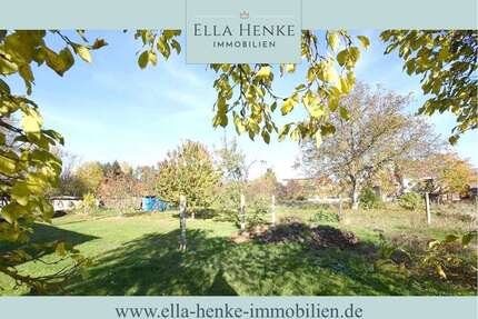 Grundstück zu verkaufen in Gröningen 149.000,00 € 3979 m²