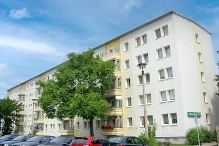 Wohnung zum Mieten in Magdeburg 330,00 € 47 m²