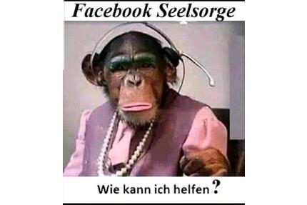 Biete möblierte zwei Raum Wohnung , Kaltmiete 450,00Euro im Zentr - Spremberg