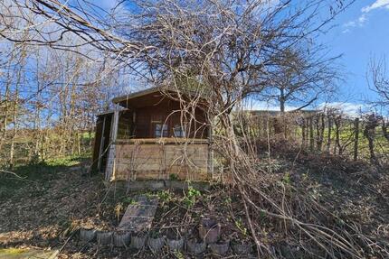 Gartengrundstück in Zunsweier zu verpachten - Offenburg Elgersweier